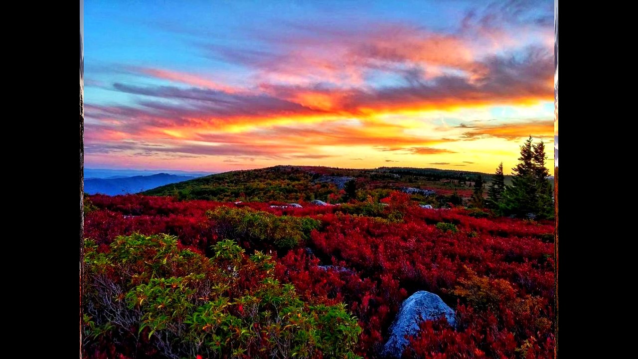 bear-rocks-preserve-usa-agnerz