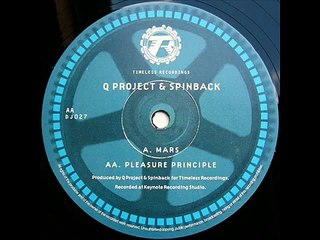 Q Project Spinback - Pleasure Principle