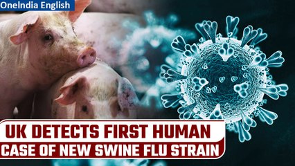 Swine Flu: First human case of new strain detected in UK | Public caution advised | Oneindia News
