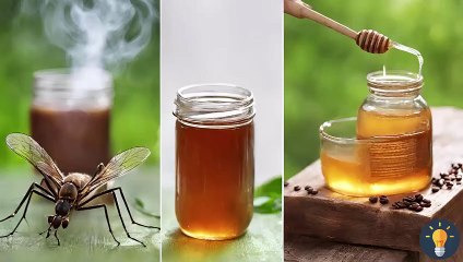 Amazing DIY Mosquito Repellent with Honey and Coffee