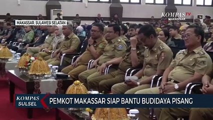 Pemkot Makassar Siap Bantu Budidaya Pisang