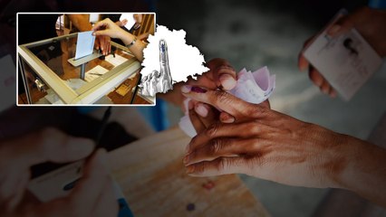 Telangana Elections లో హోం ఓటింగ్ విజయవంతం: ఎన్ని వేల మంది ఓటు వేశారంటే? | Telugu OneIndia