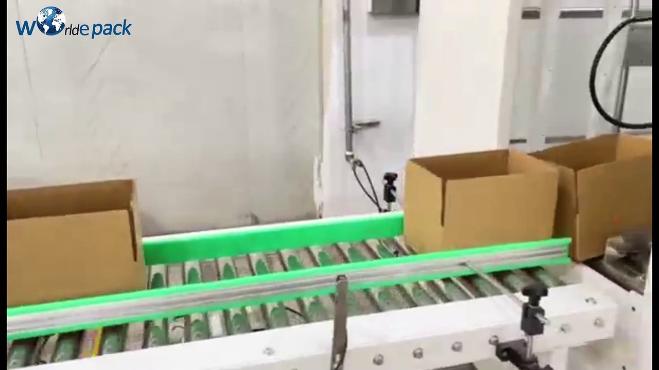 Automatic Bagging Cartoning Sealing Labeling For Hardware