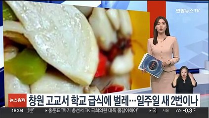 창원 고교서 학교 급식에 벌레…일주일 새 두 번이나