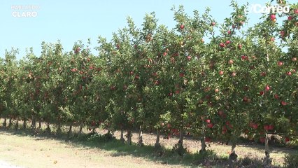 HablandoClaro con Manuel Pimentel: Descubre sus Ideas y Experiencias