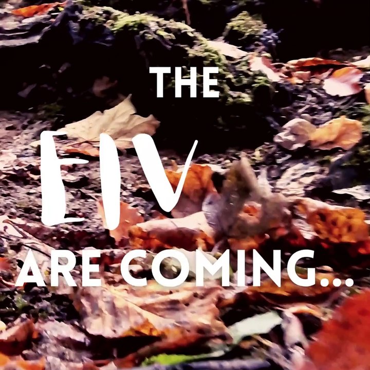 The Priory Park Elves are coming