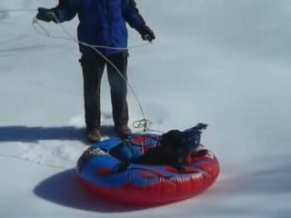 Pictures 2008-02-22 014