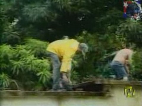 NTV 50000 viviendas Afectadas por las lluvias By BurronAzul.