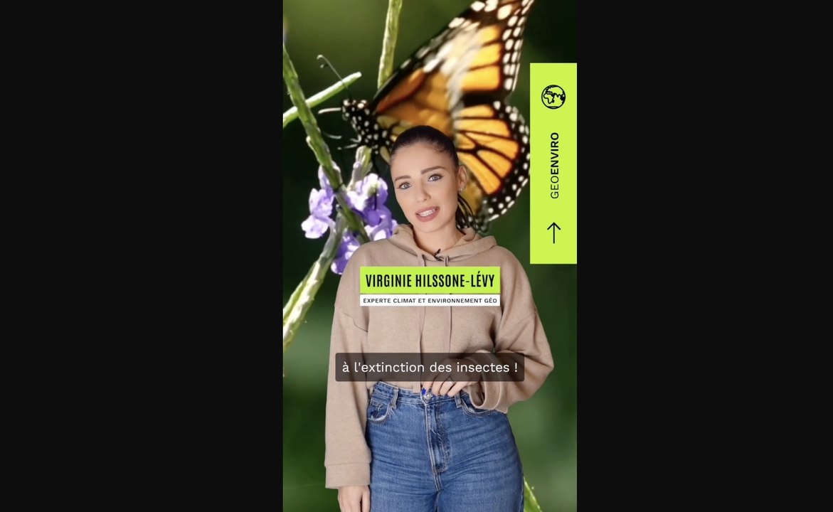 Pollution lumineuse : les conséquences de l'éclairage de nuit sur la biodiversité