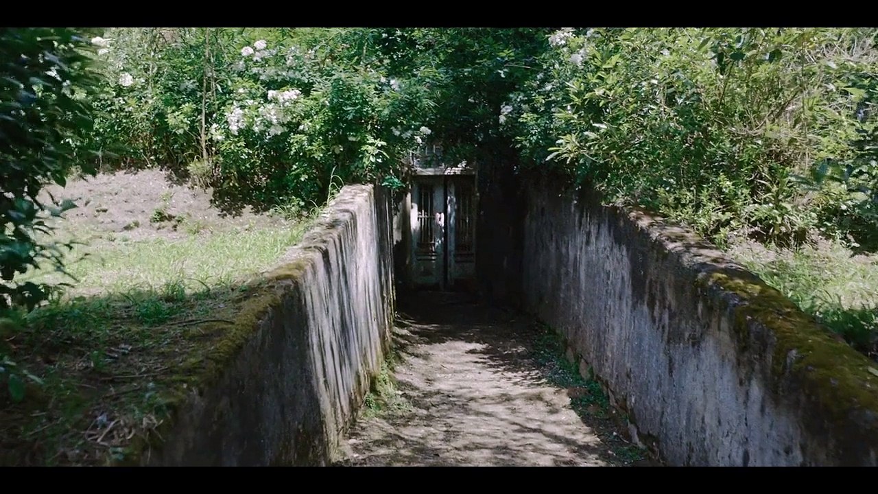 Amelia's children trailer ov
