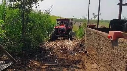 How to pull loaded sugarcane tractor.