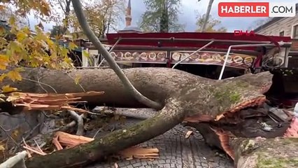 Bursa'da tarihi çınar lodosun etkisiyle devrildi