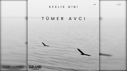Tümer Avcı - Keklik Gibi