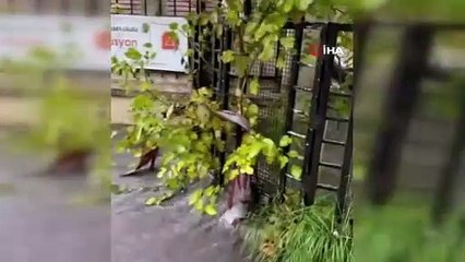 İstanbul’da sağanak yağış caddeleri göle döndürdü: Merdivenden akan su şelaleyi andırdı