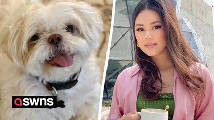 Woman who believes her pet died of a new "mysterious dog illness" warn owners to avoid doggie parks