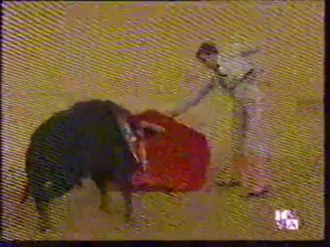 TARDE DE TOROS-ENRIQUE PONCE-MANOLO SANCHEZ-JOSE TOMAS 7ª ABONO VALLADOLID 27 09 98