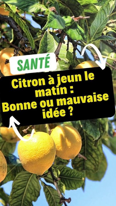 Citron à jeun le matin : Bonne ou mauvaise idée ?