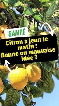 Citron à jeun le matin : Bonne ou mauvaise idée ?