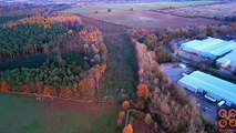 Harlestone Firs