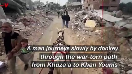 Donkey Journeys Through Gaza’s War-Torn Landscape Shows Extent of Destruction