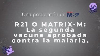 ¿Cómo funciona R21 o Matrix-M, la segunda vacuna aprobada contra la malaria? - #ExclusivoMSP