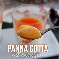 Panna cotta con vainilla y coulis de albaricoque