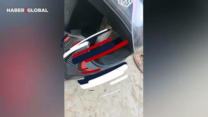 Kaskın içinde kamufle olan kobranın şaşırtıcı görüntüsü viral oldu!