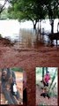 Este es el video del cazador furtivo que mató un ejemplar de mono carayá