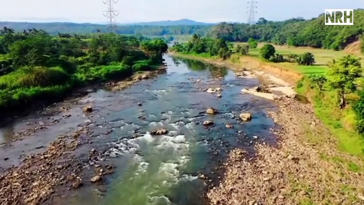 Stress relief relaxation video with most beautiful birds, flowers, seascapes, landscapes & relaxing meditation music.