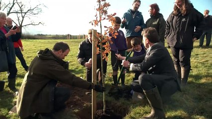 West of England Combined Authority Metro Mayor, Dan Norris, plants trees at Great Avon Wood