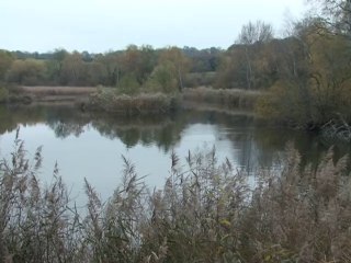 Flâneries entre étang et forêt de Haute-Jarrie 38(560