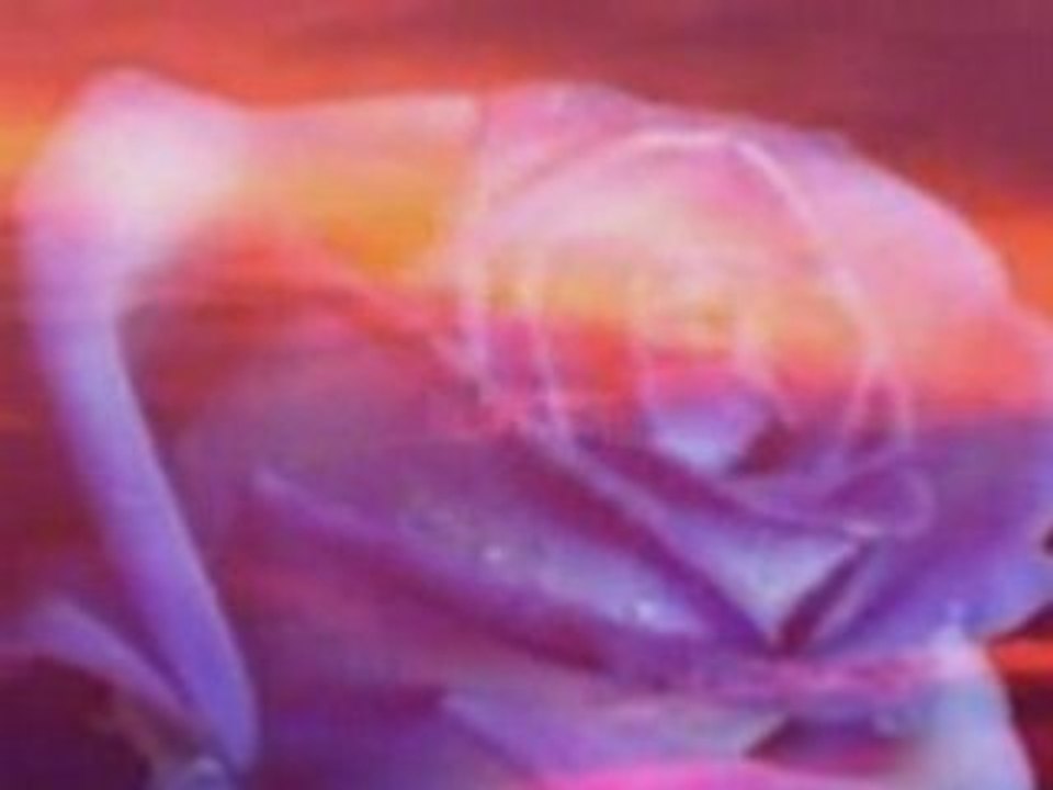 Le prisonnier (Je t'envie petit moineau)