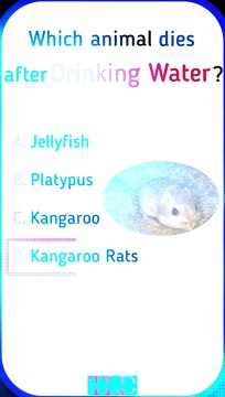 Animal Facts #generalknowledge #animalfacts #shorts #natureeducation #discoverthewild #facts