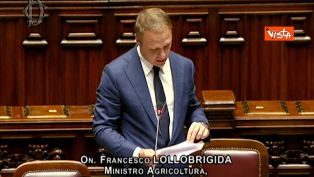 Lollobrigida sulla polemica treno: Certo di aver fatto il mio dovere