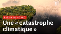 Tourbières du bassin du Congo : menace sur l’un des plus grands pièges à carbone du monde