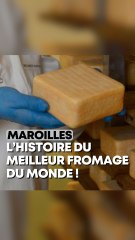 Le maroilles meilleur fromage du monde !