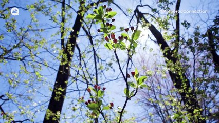 ¿Qué es el verano meteorológico?¿Es igual al que conocemos?