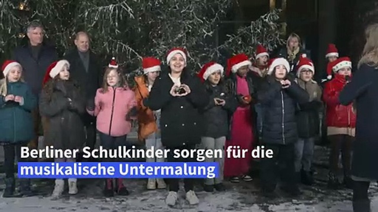 'Kanzlertanne': Scholz bekommt Weihnachtsbaum