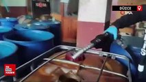 Düzce'de 800 litre kaçak akaryakıt ele geçirildi