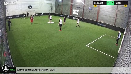 Faute de Nicolas Perreira - ZDG