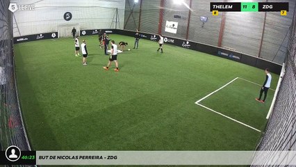 But de Nicolas Perreira - ZDG