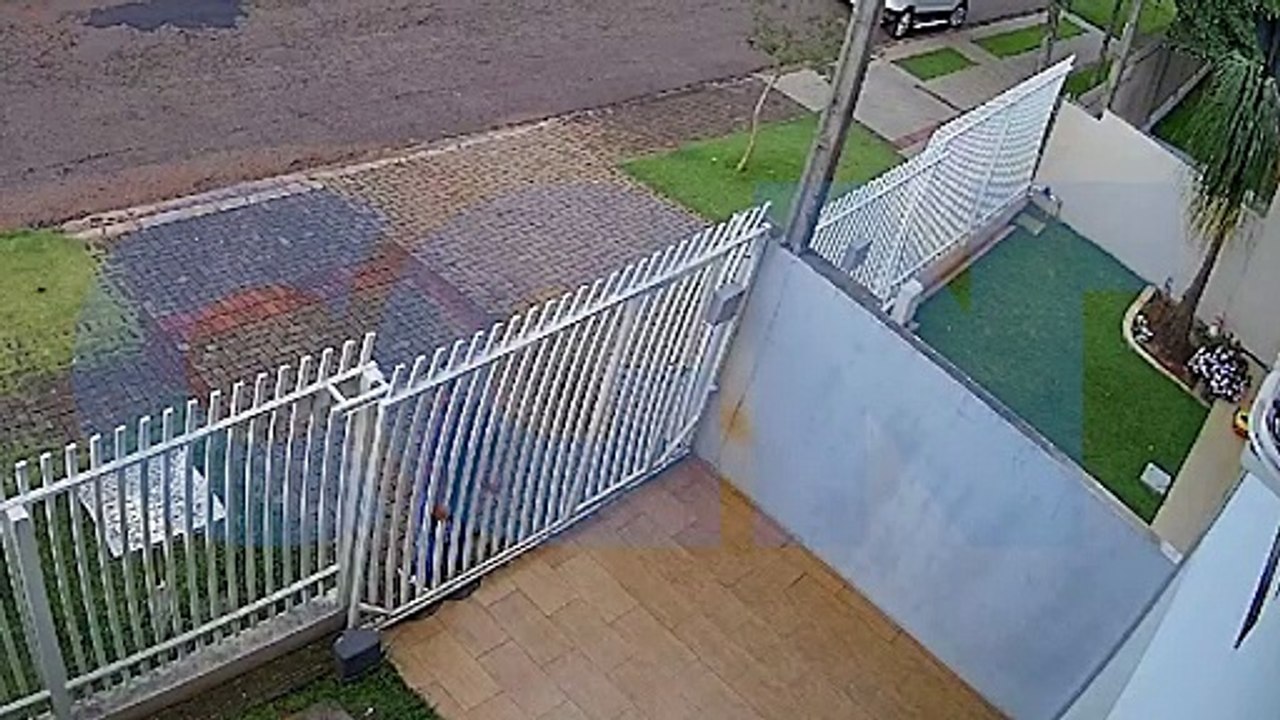 Nem todo herói usa capa, às vezes tem quatro patas: Cachorrinho afugenta ladrão no Universitário