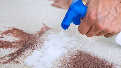 What Is an Enzyme Cleaner?