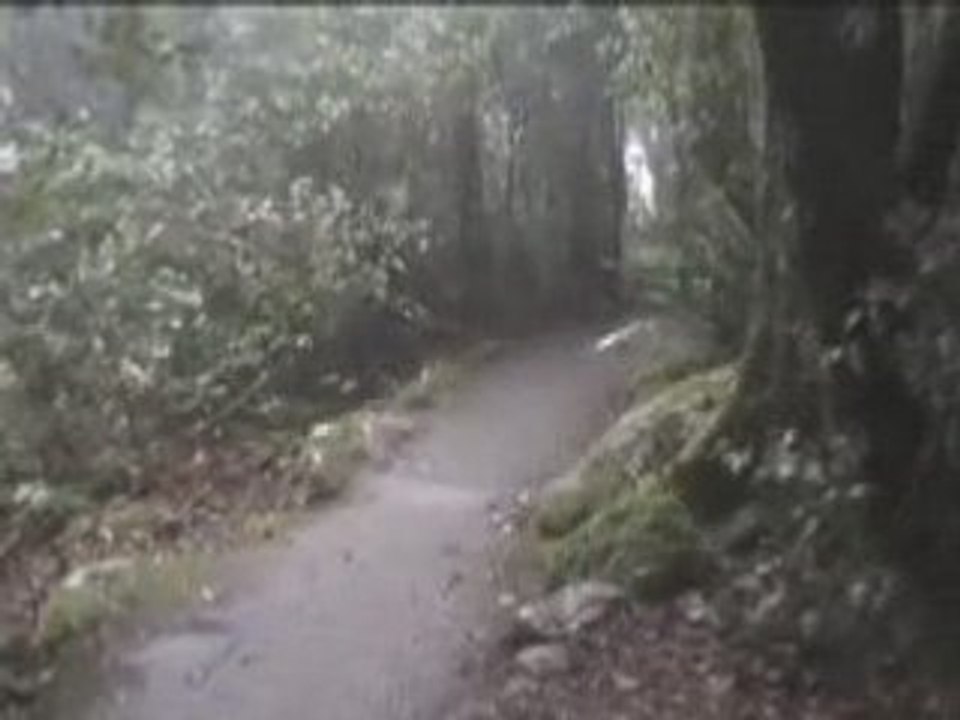 Balade springbrook