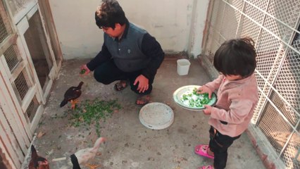 Chacha Bhatija Pets first vlog for Dailymotion