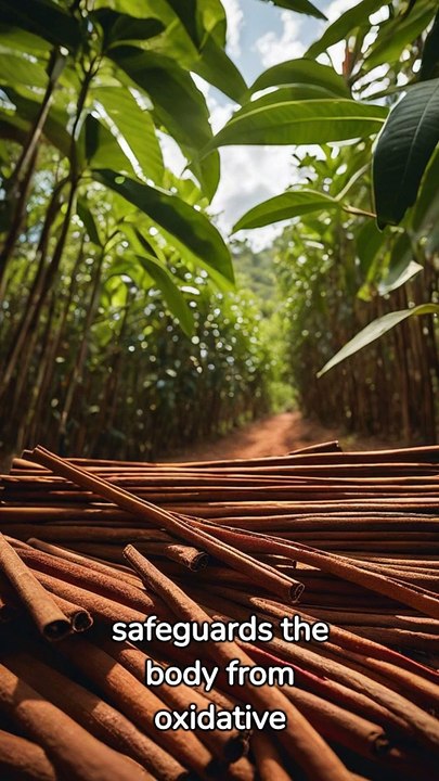 Amazing Health Benefits of Cinnamon