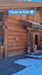 ouverture des stations de ski