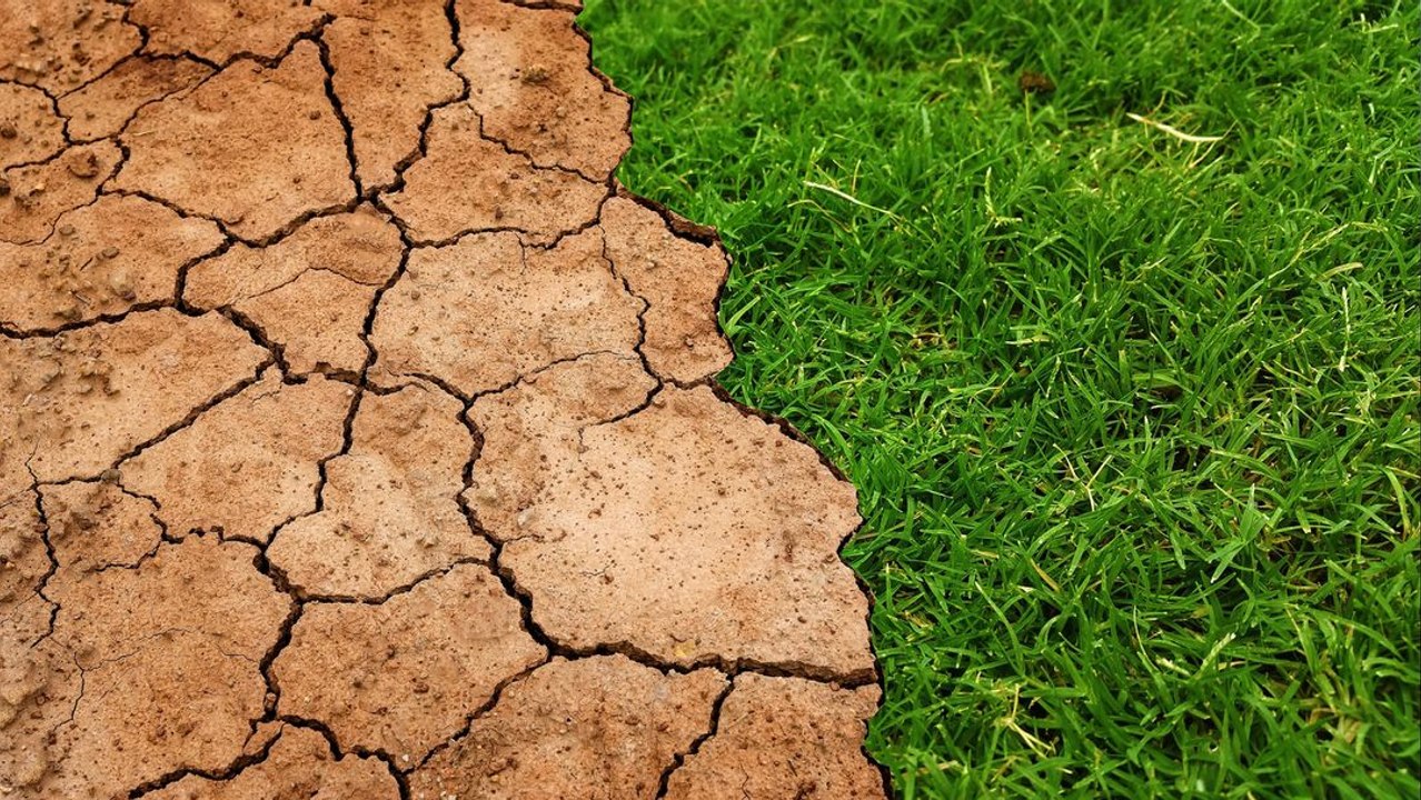 What If We Terraformed The Sahara Desert?