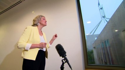 Home Affairs Minister under pressure to put released detainees back behind bars