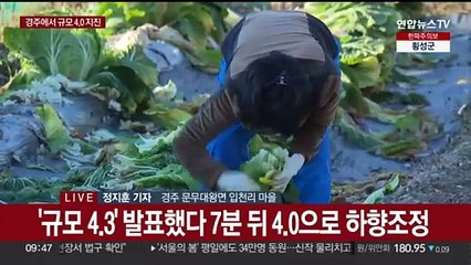경주서 규모 4.0 지진…올해 내륙 최대 규모